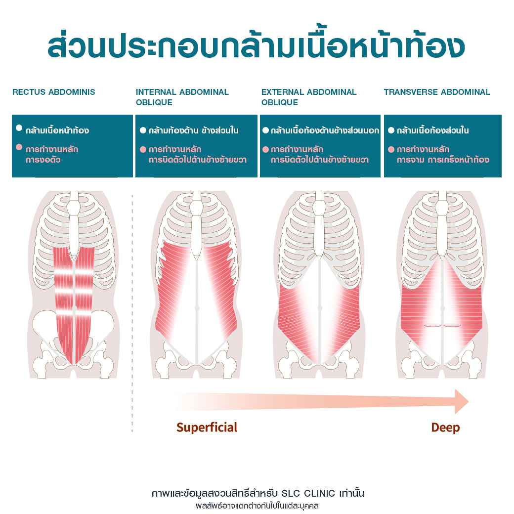 ทำยังไงไม่ให้มีหน้าท้อง,สร้างกล้ามเนื้อหน้าท้อง, วิธีลดพุงเป็นชั้น, วิธีลดพุงสำหรับคนไม่มีเวลา,  นั่งแล้วพุงเป็นชั้น, นั่งแล้วมีพุง , ลดพุงล่าง, ลดพุงป่อง