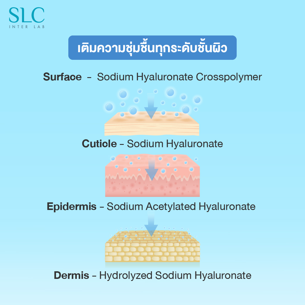 ไฮยาช่วยเรื่องอะไร , SLC 7 Peptides-Hya Intensive Serum,เอส เเอล ซี เปปไทด์ ไฮยา อินเท็นซีฟ ซีรั่ม, ไฮยาลูรอ, ไฮยาลูโรนิก แอซิด, Hyaluronic Acid 