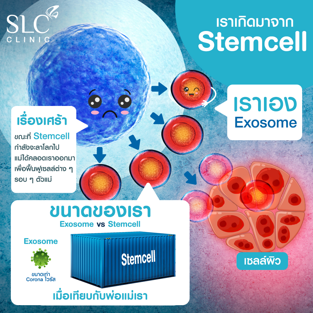 Exosome เอ็กซ์โซโซม หน้าเด็ก เหมือนผิวเด็ก วิตามินบูสต์ผิวเด็ก Baby Skin Booster™️ เบบี้สกินบูสเตอร์ คืนผิวเด็กเด้งฟู