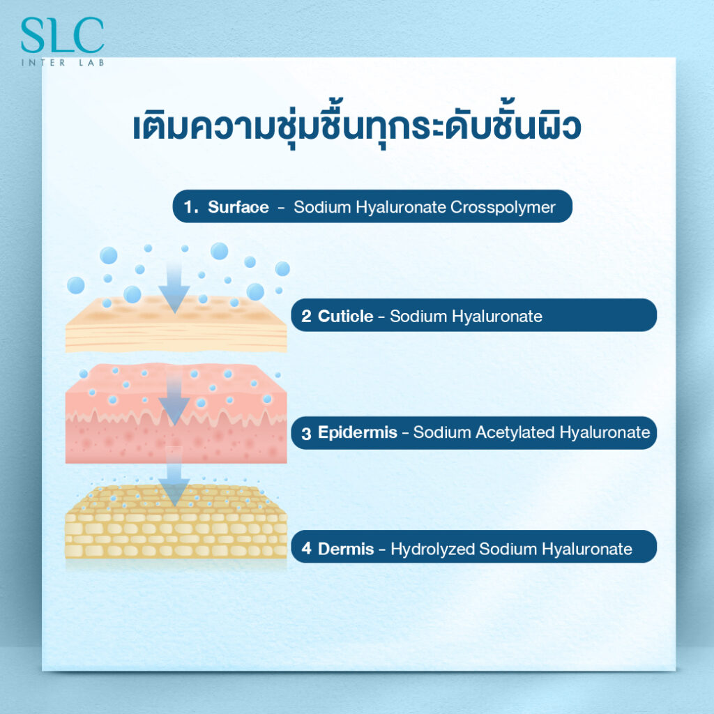 ใช้ไฮยา